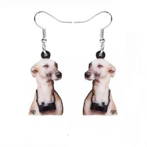 ANY PAIR UNDER $25 R 4 FOR $20 GEOMETRIC Laser Cut Acrylic Earrings. NWT